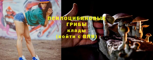 СК Сосновка