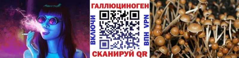 Галлюциногенные грибы мицелий  Купить где  Галич 